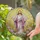 Jesus Christ Radiant Sun Ray Garden - Easter Religious Home Decor Gift Stained Glass Suncatcher - 2