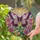 Stained Glass Butterfly Flower Mosaic - Tiffany Style Home Decor Gift for Nature Lover Stained Glass Suncatcher - 2