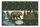 Grizzly Bear Log Cabin Waterfall Personalized Name - Wildlife Lover Everyday Carry Gift Quilted Tote Bag - 7