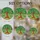 Stacked Gold Coins Gnarled Trunk Money Tree Four Leaf Clover - Home Decor Gift Stained Glass Suncatcher - 4