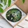 Panda Bear Bamboo Forest Leaves Flowers Berries - Home Decor Gift for Wildlife Lovers Stained Glass Suncatcher - 3