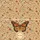 Monarch Butterfly Botanical Floral Wreath Wildlife Lover - Everyday Carry Gift Quilted Tote Bag - 7