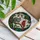 Grey Squirrel Red Cardinal Branch Heart Wildlife Lover Nature Home Decor Gift Stained Glass Suncatcher - 3