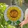 Orange Tabby Cat Sunflower Mosaic Stained Glass - Home Decor Gift for Cat Lover Stained Glass Suncatcher - 2
