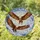 Bald Eagles Soaring Cloudscape - Wildlife Lover Home Decor Gift Stained Glass Suncatcher - 1