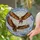 Bald Eagles Soaring Cloudscape - Wildlife Lover Home Decor Gift Stained Glass Suncatcher - 2