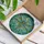 Dragonfly Amber Green Iridescent Wings Crescent Moon Vines - Home Decor Gift for Wildlife Lover Stained Glass Suncatcher - 3