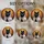 Regal Black Cat Hooded Cloak Mosaic - Home Decor Gift for Cat Lover Stained Glass Suncatcher - 4