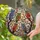 Six Colorful Owls Perched Tree Branches Autumn Leaves - Wildlife Lover Home Decor Gift Stained Glass Suncatcher - 2