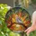 Cockatiel Bird Green Foliage Sunset Ocean Horizon - Home Decor Gift for Bird Lover Stained Glass Suncatcher - 2