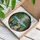 Boy Girl Blowing Bubbles Ancient Trees Hills - Home Decor Gift Stained Glass Suncatcher - 3