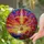 Hot Air Balloon Multi-Paneled Sunset Sky Mountain Flowers Wispy Clouds Home Decor Gift Stained Glass Suncatcher - 2