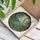 Brontosaurus Dinosaur Prehistoric Jungle Landscape - Home Decor Gift for Dinosaur Lover Stained Glass Suncatcher - 3