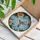Iridescent Hummingbird Blooming Peach Orange Flowers Green Leaves - Home Decor Gift Stained Glass Suncatcher - 3
