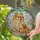 Fluffy Pomeranian Dog Intertwining Foliage Home Decor Gift for Pomeranian Owners Stained Glass Suncatcher - 2