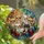 Seven Chihuahuas Christmas Ornaments - Christmas Holiday Gift for Chihuahua Lover Stained Glass Suncatcher - 2
