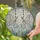 Filigree Butterflies Crystal Spheres Tiffany Glass Mosaic - Home Decor Gift Stained Glass Suncatcher - 2