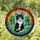 Stained Glass Tuxedo Kitten Rainbow Border - Cat Lover Home Decor Gift Stained Glass Suncatcher - 1