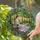 Young Girl Bird Rustic Wooden Park Bench Floral Park Scene - Home Decor Gift Stained Glass Suncatcher - 2