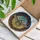 Iridescent Scarab Beetle Outstretched Wings Floral Mosaic - Nature Lover Home Decor Gift Stained Glass Suncatcher - 3