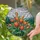 Blossoming Orange Coral Tulips Green Leaves Rolling Hills Sky - Home Decor Gift Stained Glass Suncatcher - 2
