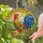 Vibrant Rooster Countryside Mosaic Landscape - Farmhouse Decor Bird Lover Gift Stained Glass Suncatcher - 2
