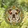 Bulldog Stained Glass Head with Golden Floral Medallions - Home Decor Gift for Dog Owners Stained Glass Suncatcher - 1