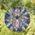 Spider Iridescent Crystal Faceted Bead Light Rays - Celestial Decor Gift for Spider Lover Stained Glass Suncatcher - 1