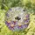 Bumblebee Landing Purple Daisy Flowers - Tiffany Glass Nature Lover Gift Stained Glass Suncatcher - 1