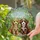 Tiffany Glass Poodle Puppies Mosaic Foliage Home Decor Gift for Dog Lover Stained Glass Suncatcher - 2