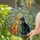 Two Sitting Cats Nose-to-Nose Flower Vines - Home Decor Gift for Cat Lover Stained Glass Suncatcher - 2