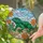 Green Lizard Desert Flowers Cactus - Home Decor Gift for Wildlife Lover Stained Glass Suncatcher - 2