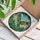 Tropical Green Parrot Flight Foliage Blue Sky Scene - Wildlife Home Decor Gift Stained Glass Suncatcher - 3