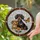 Dachshund Adult Puppy Stained Glass Monarch Butterfly Rosebud Home Decor Gift for Dog Lover Stained Glass Suncatcher - 2