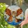 Winged Tiger Bald Eagle Ocean Waves Clouds Moon Bubbles - Home Decor Gift Stained Glass Suncatcher - 2