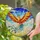 Majestic Phoenix Golden-Orange Fiery Red Blue Teal Flight Sky Clouds - Home Decor Gift Stained Glass Suncatcher - 2