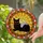 Black Cat Yellow Eyes Autumn Leaves Sunset Sky - Home Decor Gift for Cat Lover Stained Glass Suncatcher - 2