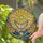 Golden Sunburst Iridescent Glass Jewels Celestial Clouds Light Patterns Home Decor Gift Stained Glass Suncatcher - 2