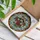 Raccoon Red Rose White Blue Daisy Floral Bouquet - Wildlife Lover Home Decor Gift Stained Glass Suncatcher - 3