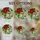 Hummingbird Poinsettia Botanical - Christmas Home Decor Gift for Bird Lovers Stained Glass Suncatcher - 4