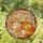 Fluffy Ginger Cat Blue Eyes Cream Fur Brown Flowers Circular Mosaic - Home Decor Gift for Cat Lover Stained Glass Suncatcher - 1