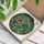 Macaws Tropical Hibiscus Foliage Vines - Wildlife Lover Home Decor Gift Stained Glass Suncatcher - 3