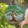 Ancient Gnarled Tree Rocky Boulders Mountains Clear Sky - Home Decor Gift for Nature Lover Stained Glass Suncatcher - 2