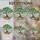 Ancient Gnarled Tree Rocky Boulders Mountains Clear Sky - Home Decor Gift for Nature Lover Stained Glass Suncatcher - 4