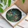 Magnificent Peacock Vibrant Floral Tiffany Glass Perching Bird - Home Decor Gift Stained Glass Suncatcher - 3