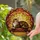 Tabby Cat on Wooden Ledge Autumn Leaves Branches - Autumnal Home Decor Gift for Cat Lover Stained Glass Suncatcher - 2