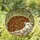 Stained Glass Hedgehog Mosaic Flowers Foliage Home Decor Gift for Wildlife Lover Stained Glass Suncatcher - 1