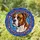Majestic Brindle Boxer Dog Dreamcatcher Stained Glass Blue Sky Home Decor Gift Stained Glass Suncatcher - 1