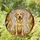 Yellow Labrador Retriever Upright Sitting Open Mouth - Home Decor Gift for Dog Lover Stained Glass Suncatcher - 1