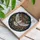 Soaring Golden Eye White Dove Acanthus Floral Glass Shard Mosaic - Home Decor Gift for Bird Lover Stained Glass Suncatcher - 3
